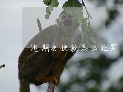 逾期交税款怎么处罚 逾期交税款怎么处罚