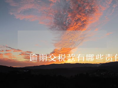 逾期交税款有哪些责任 逾期交税款有哪些责任