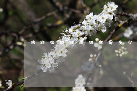 逾期交税款滞纳金是多少 逾期交税款滞纳金是多少