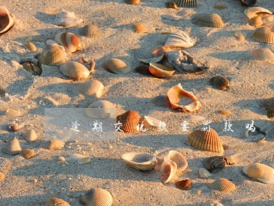 逾期交税款要罚款吗 逾期交税款要罚款吗