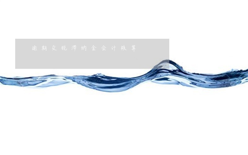 逾期交税滞纳金会计核算 逾期交税滞纳金会计核算