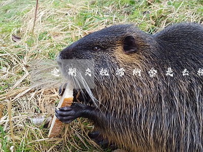 逾期交税滞纳金是去税务局吗 逾期交税滞纳金是去税务局吗