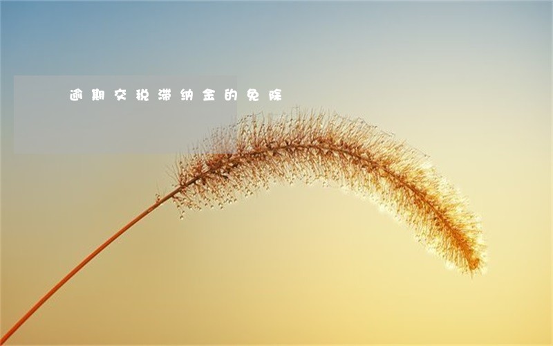 逾期交税滞纳金的免除