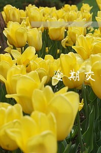 逾期交税滞纳金算行政处罚么 逾期交税滞纳金算行政处罚么