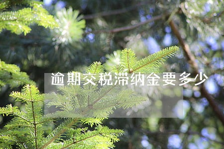 逾期交税滞纳金要多少 逾期交税滞纳金要多少