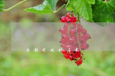 逾期交税的后果 逾期交税的后果