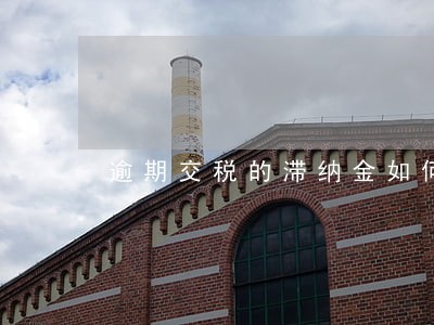 逾期交税的滞纳金如何入账 逾期交税的滞纳金如何入账
