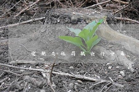 逾期交税罚款会计分录 逾期交税罚款会计分录