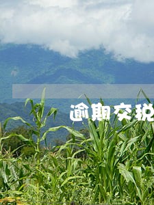 逾期交税罚款多少 逾期交税罚款多少