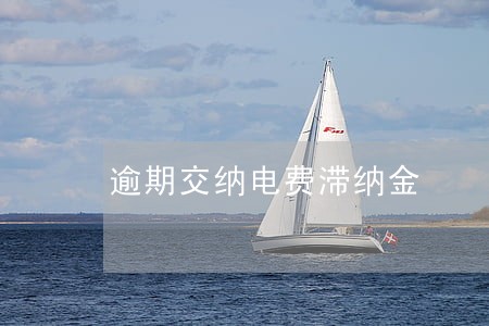 逾期交纳电费滞纳金