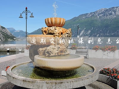 逾期交纳社保利息怎么分配 逾期交纳社保利息怎么分配
