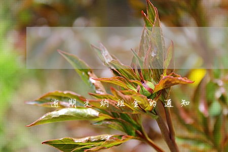 逾期交纳租金的通知 逾期交纳租金的通知