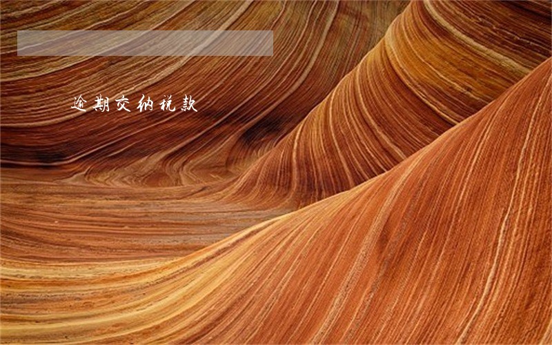 逾期交纳税款 逾期交纳税款