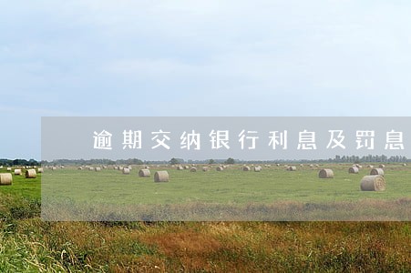 逾期交纳银行利息及罚息 逾期交纳银行利息及罚息