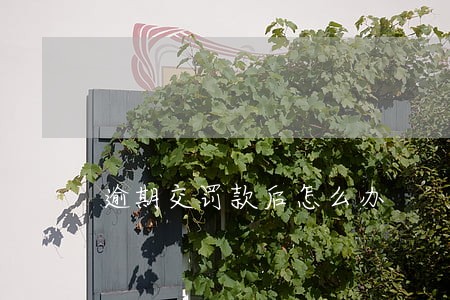 逾期交罚款后怎么办 逾期交罚款后怎么办