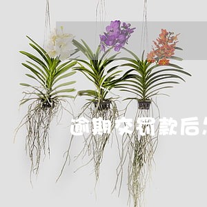 逾期交罚款后怎么注销 逾期交罚款后怎么注销