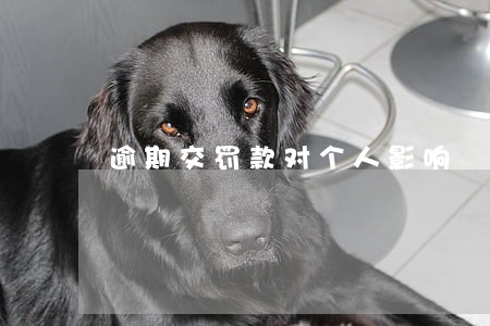 逾期交罚款对个人影响 逾期交罚款对个人影响