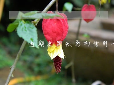 逾期交罚款影响信用卡吗 逾期交罚款影响信用卡吗