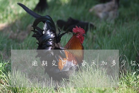 逾期交罚款每天加多少征收 逾期交罚款每天加多少征收