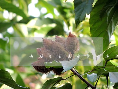逾期交自来水费的违约金 逾期交自来水费的违约金