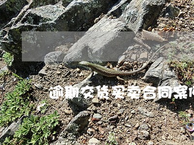 逾期交货买卖合同案例指导 逾期交货买卖合同案例指导