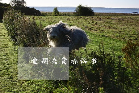 逾期交货协议书 逾期交货协议书