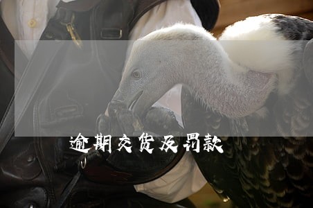 逾期交货及罚款