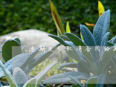 逾期交货取消合同的期限 逾期交货取消合同的期限
