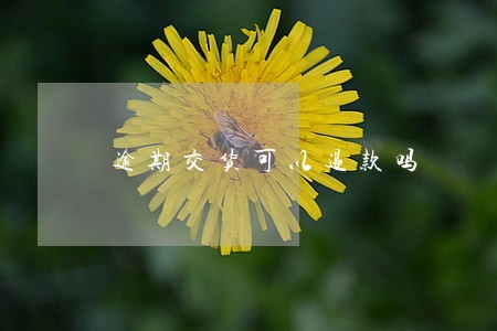 逾期交货可以退款吗 逾期交货可以退款吗
