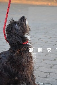 逾期交货合同条款 逾期交货合同条款
