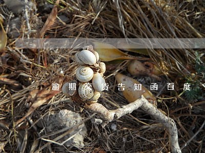 逾期交货告知函百度 逾期交货告知函百度