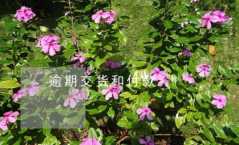 逾期交货和付款 逾期交货和付款