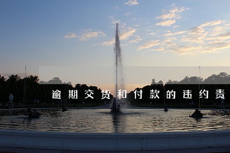 逾期交货和付款的违约责任 逾期交货和付款的违约责任
