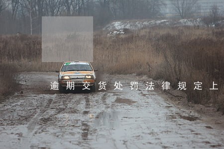 逾期交货处罚法律规定上限 逾期交货处罚法律规定上限