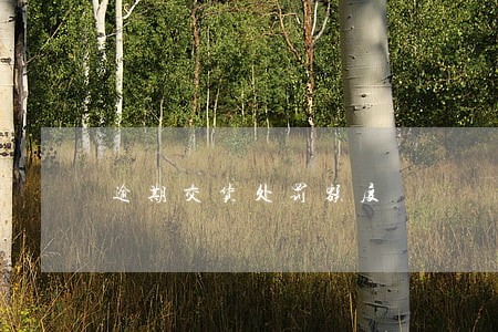 逾期交货处罚额度