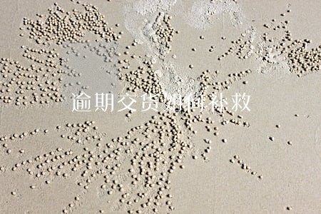 逾期交货如何补救