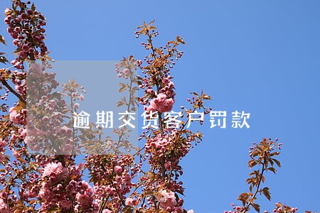 逾期交货客户罚款 逾期交货客户罚款