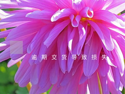 逾期交货导致损失 逾期交货导致损失