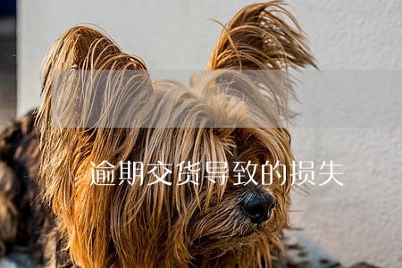 逾期交货导致的损失 逾期交货导致的损失