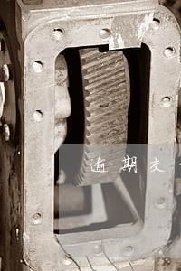 逾期交货承担违约金的案例 逾期交货承担违约金的案例