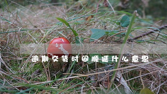 逾期交货时间顺延什么意思 逾期交货时间顺延什么意思