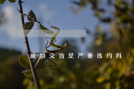 逾期交货是严重违约吗 逾期交货是严重违约吗