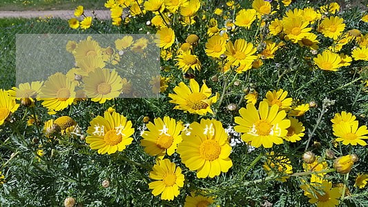 逾期交货是否构成违约 逾期交货是否构成违约