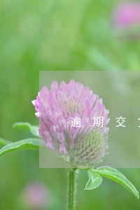 逾期交货最后期限罚款通知单 逾期交货最后期限罚款通知单