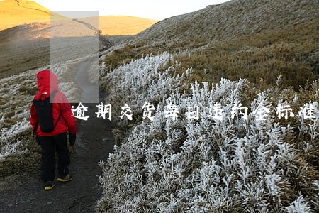 逾期交货每日违约金标准 逾期交货每日违约金标准