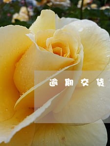 逾期交货法律 逾期交货法律