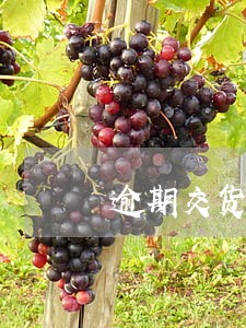 逾期交货的时间 逾期交货的时间