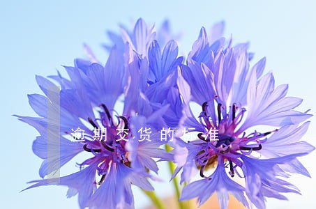逾期交货的标准 逾期交货的标准