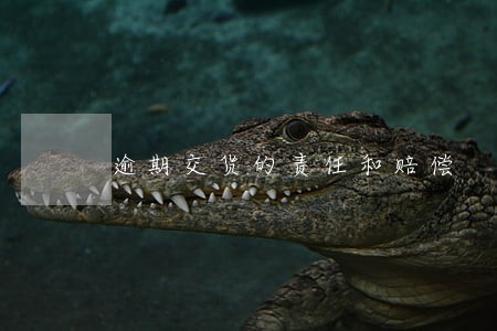 逾期交货的责任和赔偿 逾期交货的责任和赔偿
