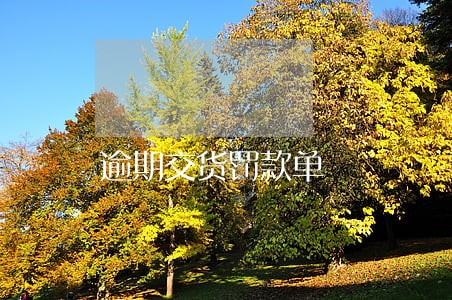 逾期交货罚款单 逾期交货罚款单